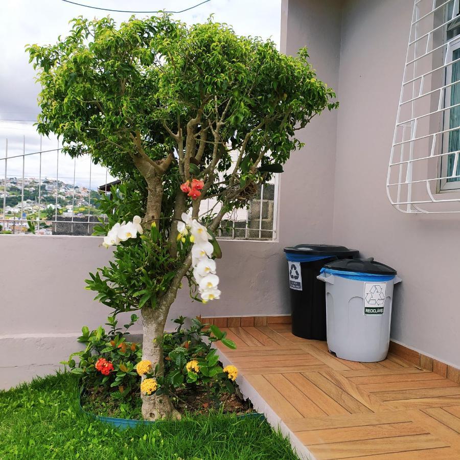 Loft Encantador D - 8 Km De Floripa *